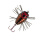 Sakura Topwater Notobug 2,2cm 1,4g  kupfer/schwarz/rot