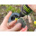 Delphin Dip Fluo D Snax LiquiX 100ml Muscheln-Gewürze