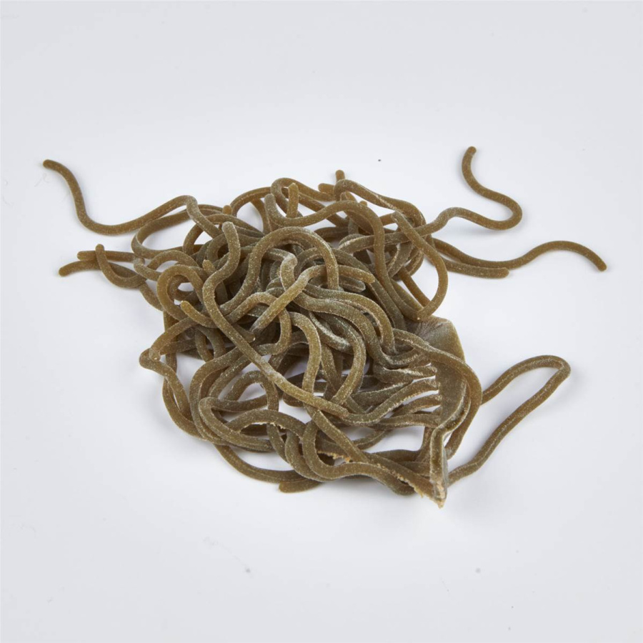 JMC Worm San Juan Body Dark Olive