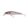 Berkley Wobbler DEX Fat Bullet10cm Sinkend Mullet