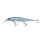 Berkley Wobbler DEX Stunna11cm Plus 1 Super Slow Sinkend Sapphire