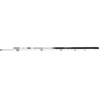 Mikado Steckrute Trython Power Cat 300  80-400g 3,00m