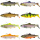 Savage Gear 3D Trout Shad FS 12,5cm 35g