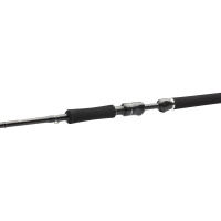 Westin Steckrute W3 POWERCAST 3ND XH 2,51m 20-80g