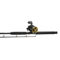 Kinetic Rute+Rolle Set POWERCORE CC 1,95m 30-50lbs