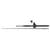Kinetic Rute+Rolle Set POWERCORE CC 1,95m 30-50lbs