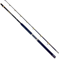Fladen Combo Warbird Boat 1,95m 15-30lbs Warbird LC3000
