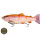 Westin Gummifisch TOMMY THE TROUT INLINE 15cm 45g LIMITED SHIRO RAINBOW