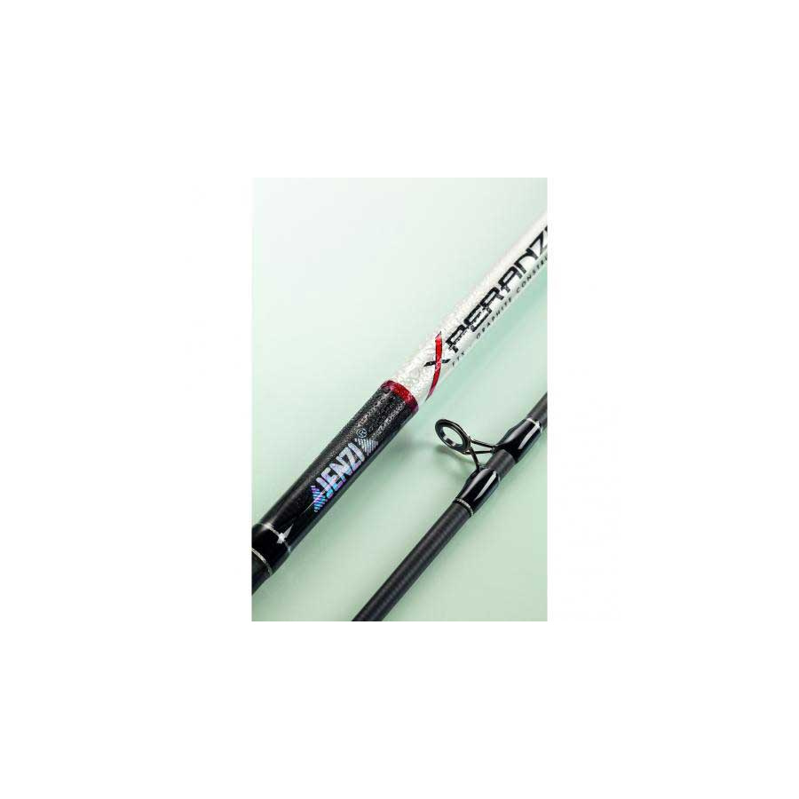 Jenzi Meeresrute Pro X-Pert World Class 4,20m 80-250g - Im Köder Laden