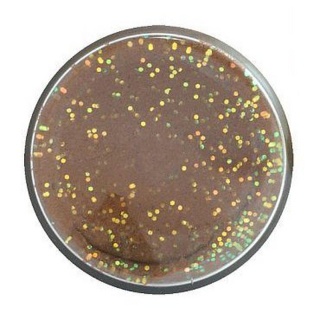 Fish Pellet with Glitter