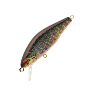 Real Life Fario Trout
