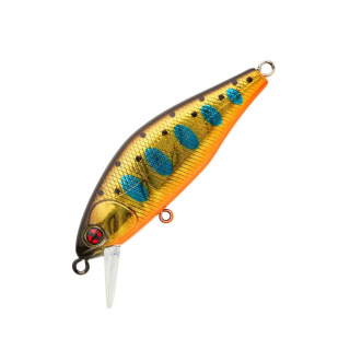 Golden Trout