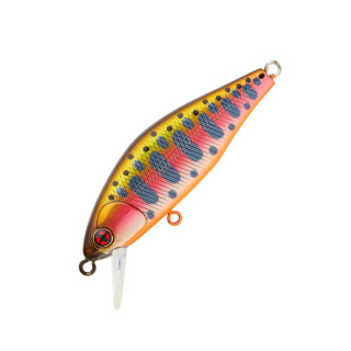 Iwana Trout