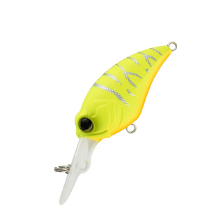 Yellow Chart Tiger