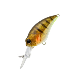 Sparkling Gill