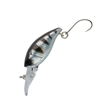 Gill