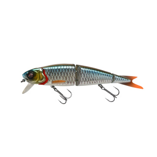 Roach