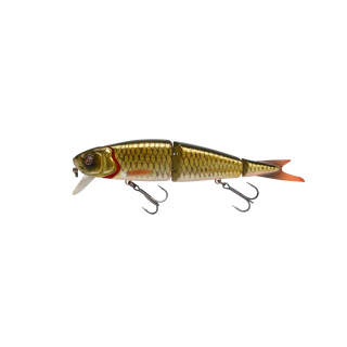 DRT Roach