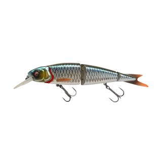 Roach