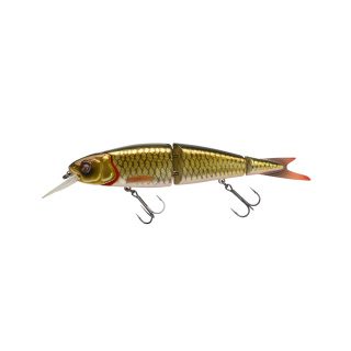 DRT Roach