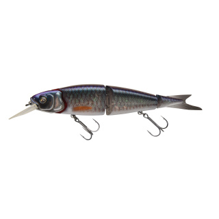 Herring