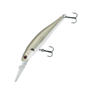 Stripped Shad
