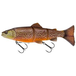 Tiger Trout