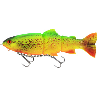 Firetiger Trout