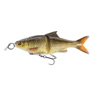 Horny Bream