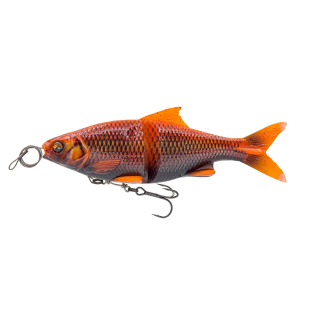 Black Orange Roach