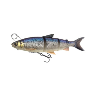 Whitefish
